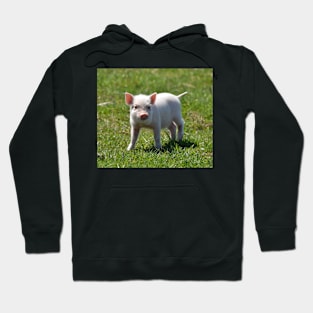 Piggy Hoodie